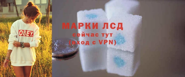 дживик Надым