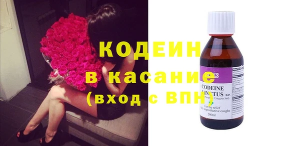 прущие грибы Новодвинск