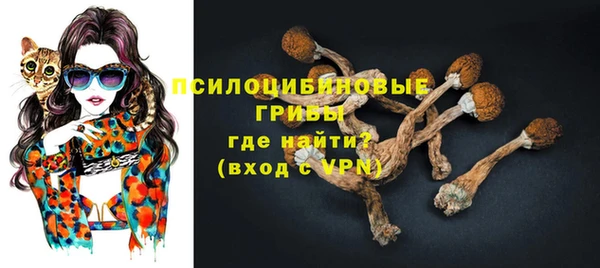 mix Нея