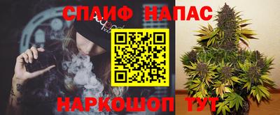 ALPHA PVP Гусев