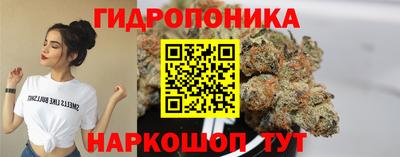 ALPHA PVP Гусев