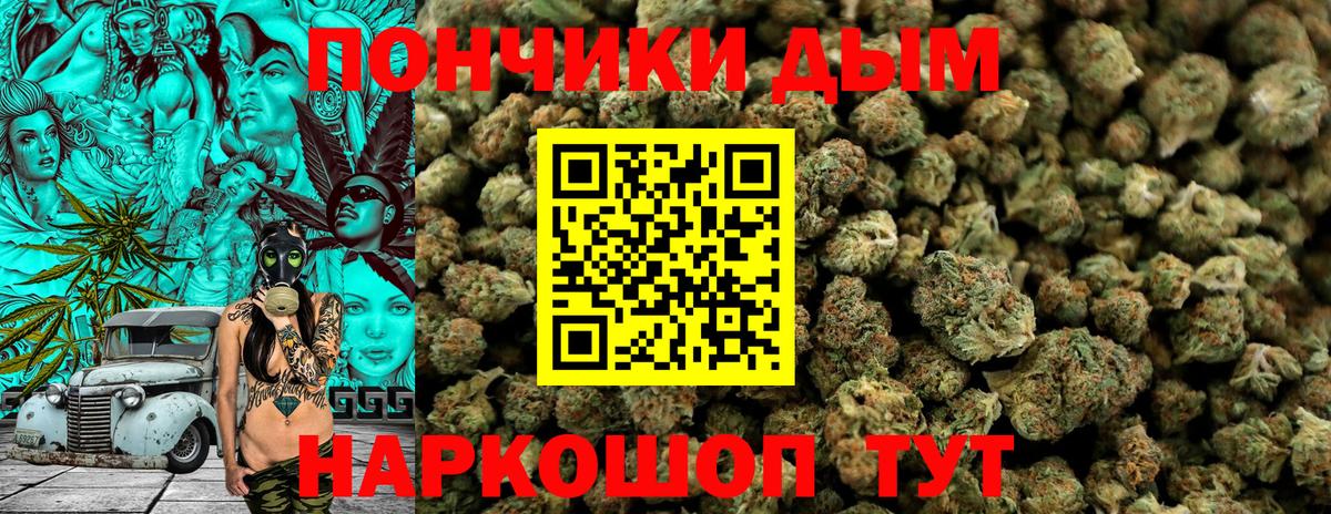 Шишки марихуана семена  Каннабис THC 21%  Полевской  Бошки марихуана конопля  Канабис ГИДРОПОН 